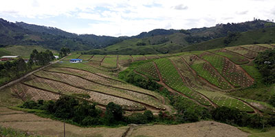 Crop Hacienda Portugal